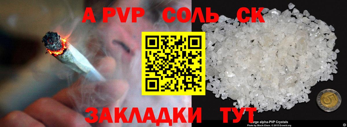 Альфа ПВП СК Чита