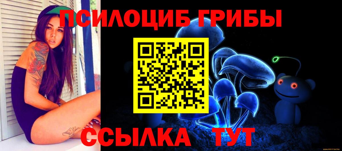 Галлюциногенные грибы Psilocybe  Галлюциногенные грибы Psilocybe  Чита  Вход с VPN 